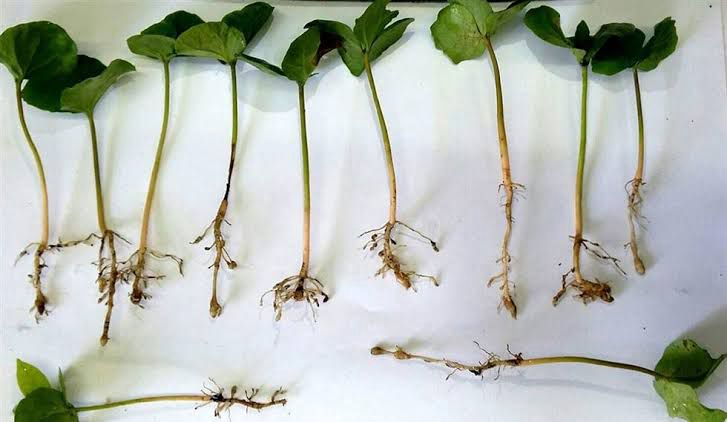 WhatsApp Image 2024-01-19 at 16.22.54.jpeg