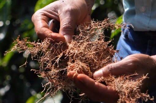 WhatsApp Image 2024-01-19 at 16.22.55.jpeg